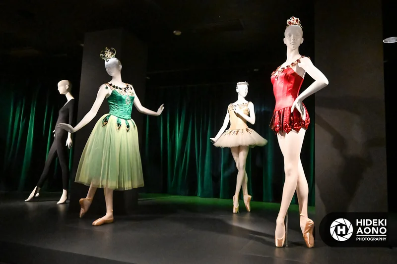 Ballerina FIT Hideki Aono 2.10.20 14 — Ballerina - Fashion's Modern Muse Feb 2020
