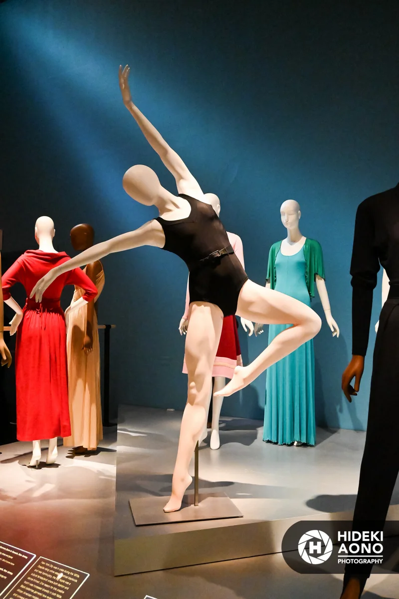 Ballerina FIT Hideki Aono 2.10.20 21 — Ballerina - Fashion's Modern Muse Feb 2020