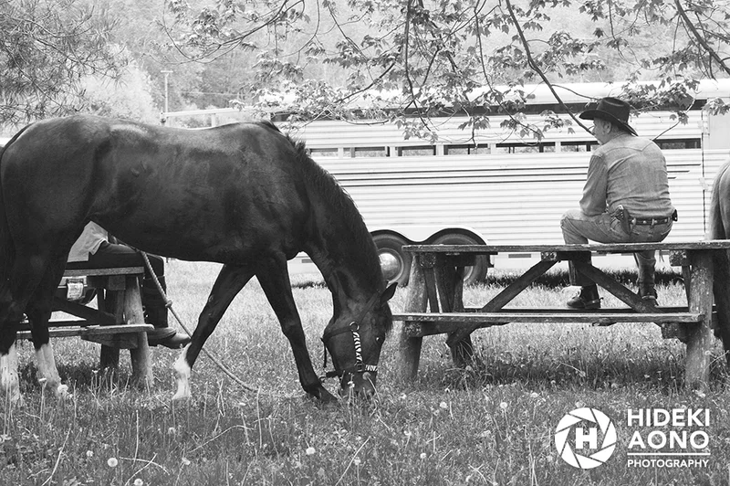 JJ 12 — Black & White