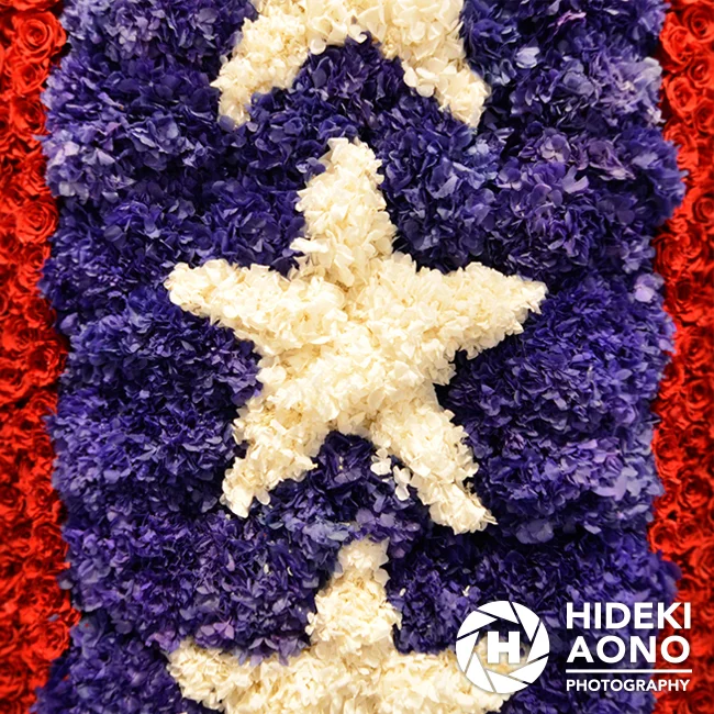 Hideki Aono Floral 10 — Floral