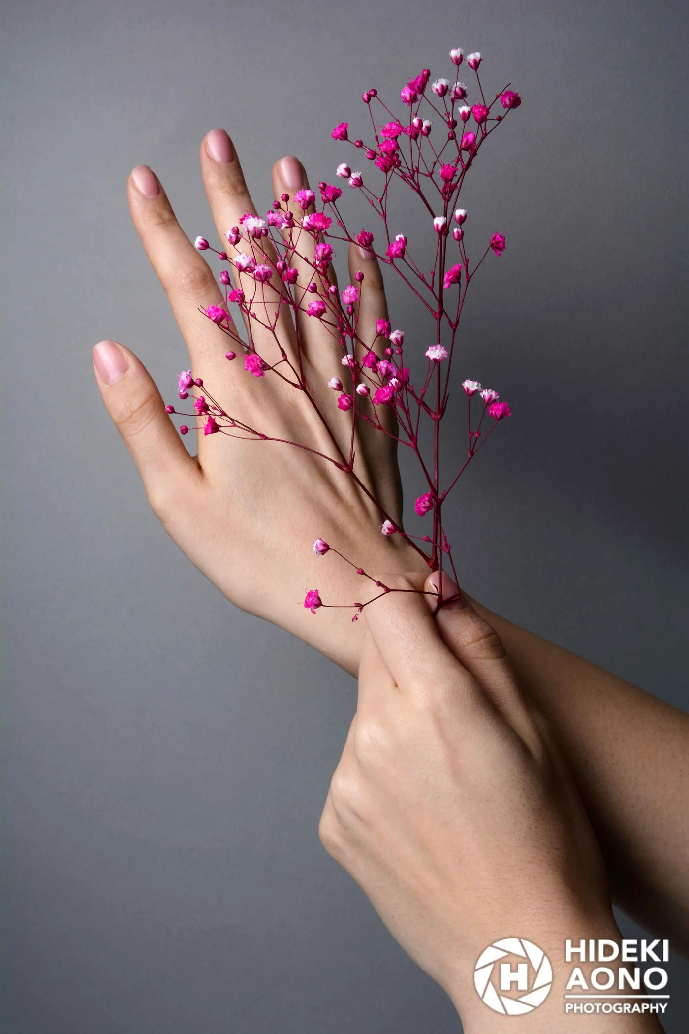 Hands, Hideki Aono