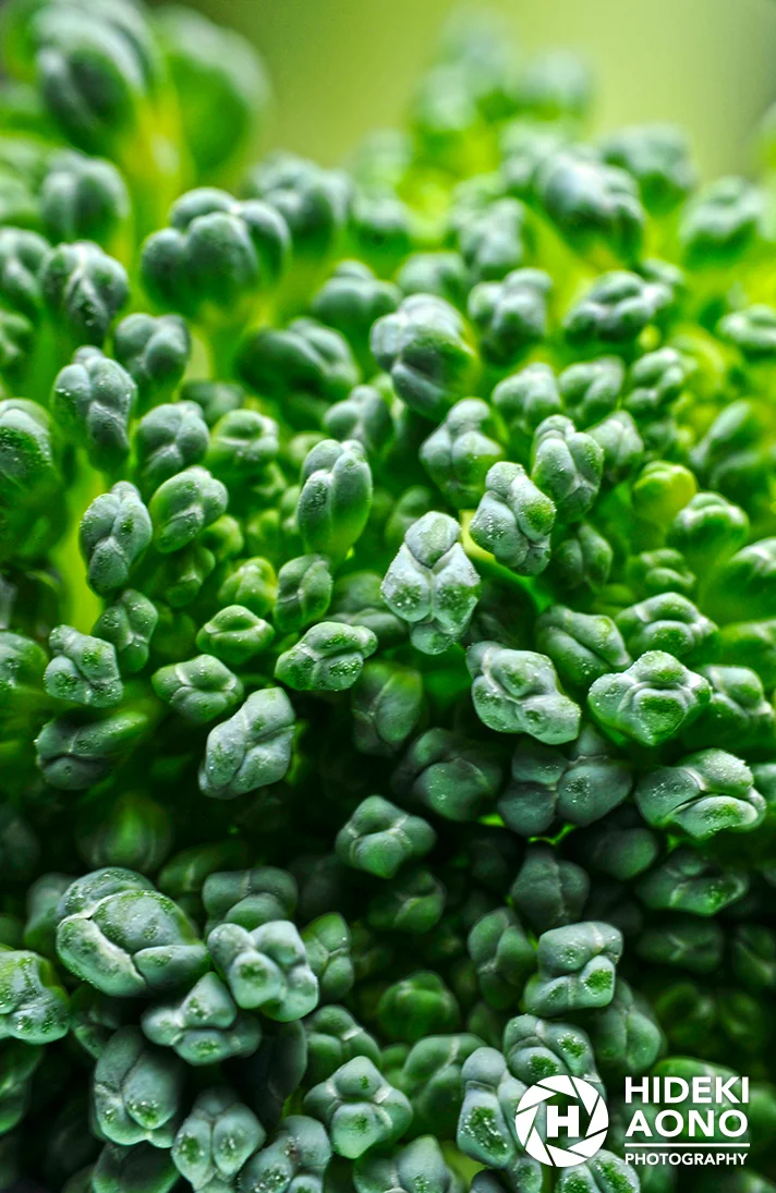 Hideki Aono Macro 6 — Macro