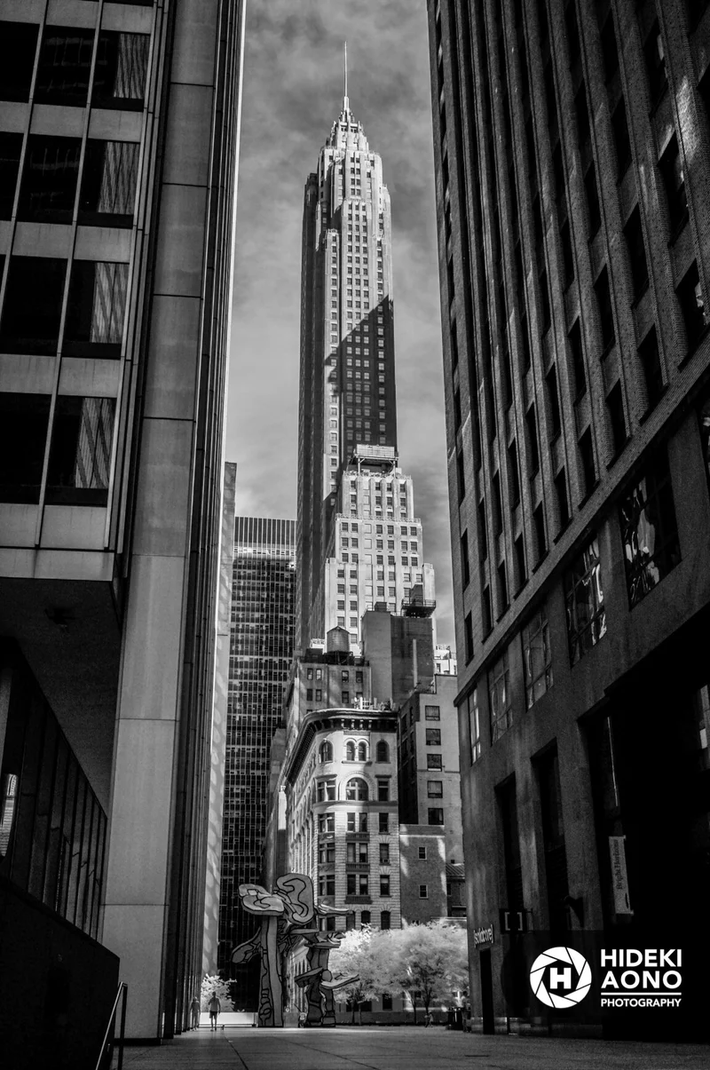 DSC0086 — New York City // Black & White