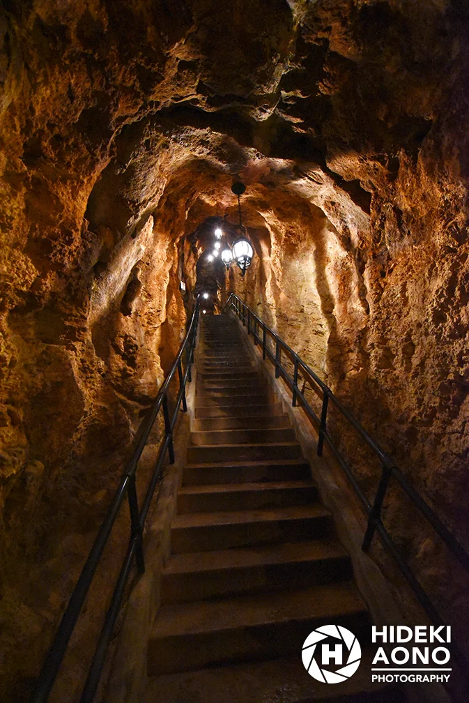DSC 5677 copy — Tunnel