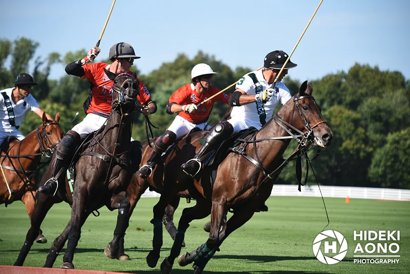 DSC 0375 copy — Sports