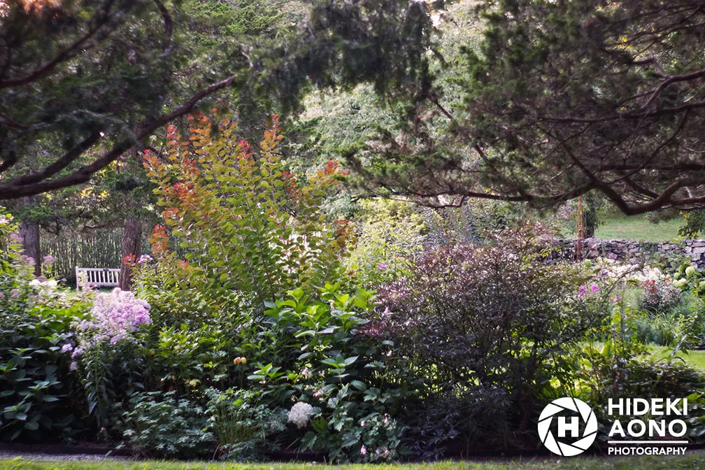 Elsewhere, Hideki Aono